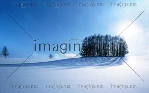Imagins1252