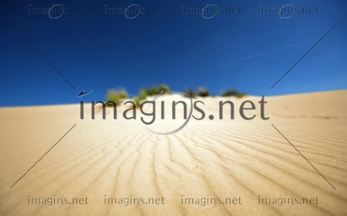 Imagins1257