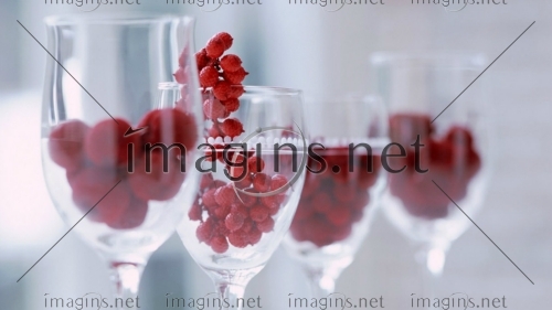 Imagins1259
