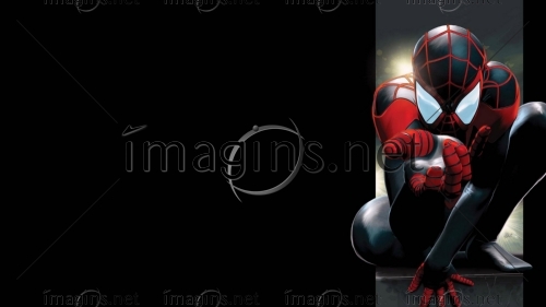 Imagins1264