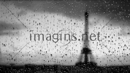 Imagins1277