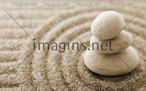 Imagins1278