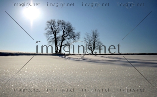 Imagins1279