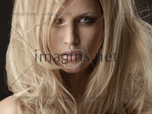 Imagins1313