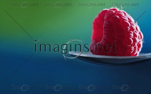 Imagins1315