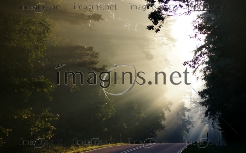 Imagins1343