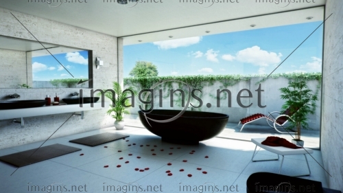 Imagins1358
