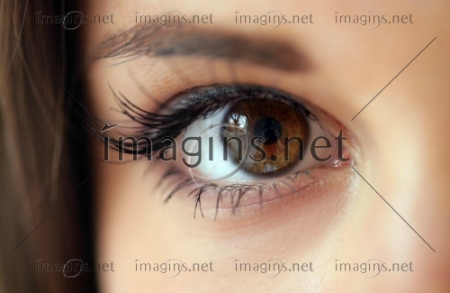 Imagins1367
