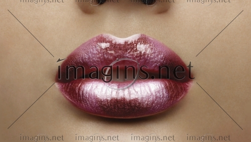 Imagins1379