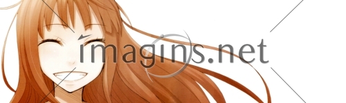 Imagins1386