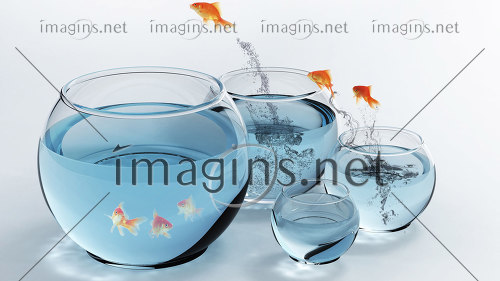 Imagins1750