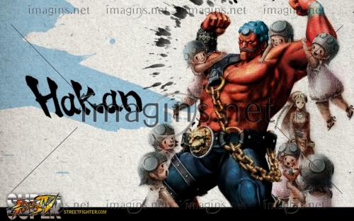 SFIV07