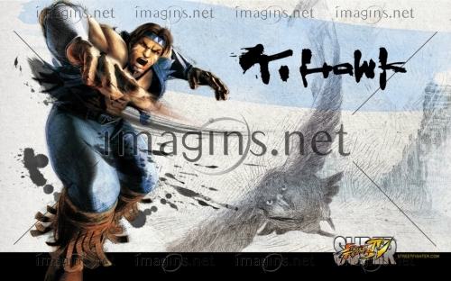 SFIV11