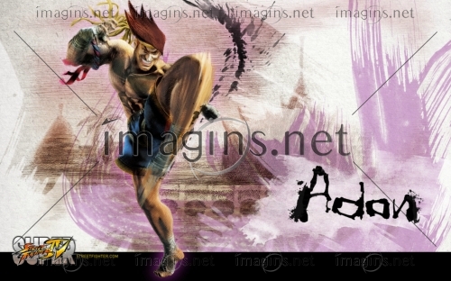 SFIV13