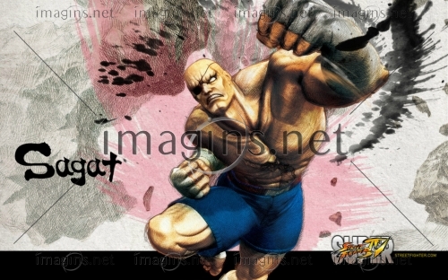 SFIV18