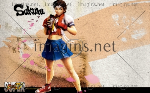 SFIV19