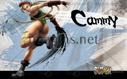 SFIV20